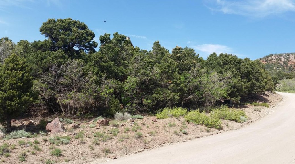 Cedar Highlands Subdivision